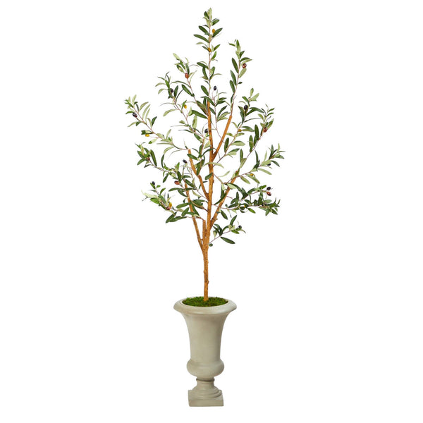 57” Olive Artificial Tree in Sand Colored Urn