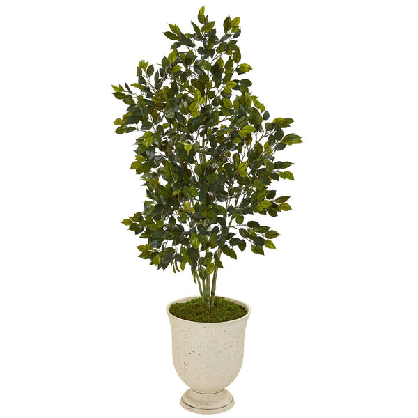 58” Ficus Artificial Tree in Decorative Urn