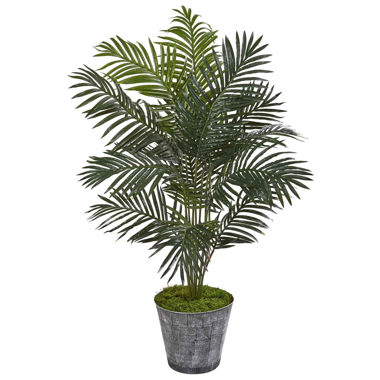 58” Paradise Palm Artificial Tree in Decorative Planter