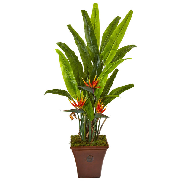 59” Bird of Paradise Artificial Plant in Brown Planter