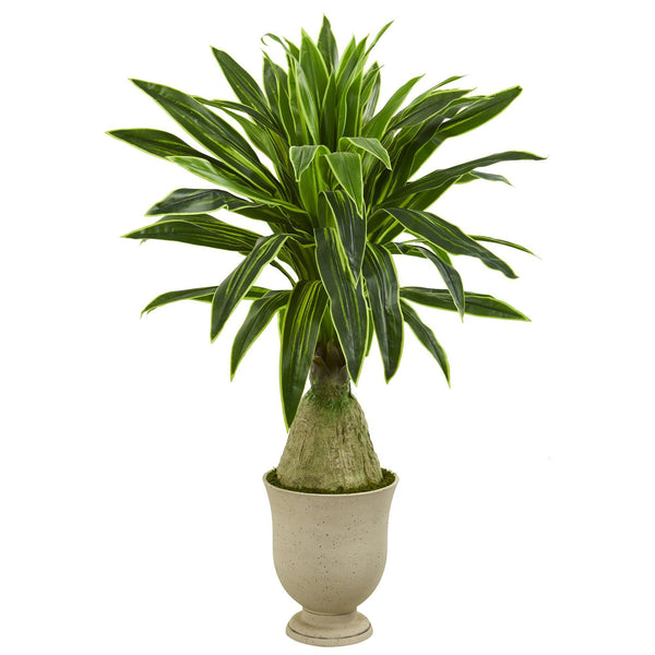 59” Dracaena Artificial Plant in Decorative Urn
