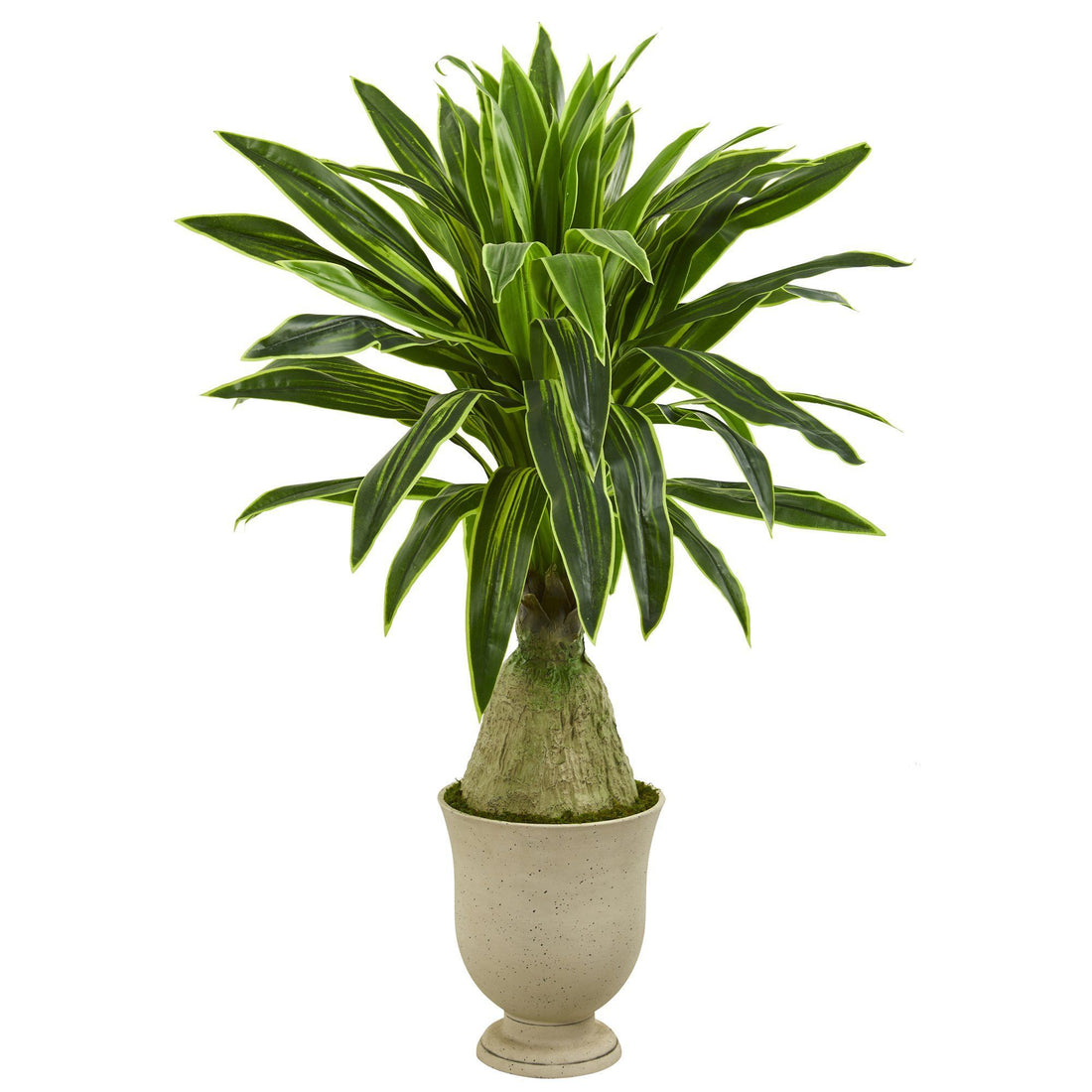 dracaena new shoots 59” Dracaena Artificial Plant in Decorative Urn