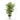 6’ Areca Palm Artificial Tree in Planter(Indoor/Outdoor)