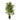 6' Artificial Areca Palm Tree
