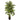 6' Artificial Areca Palm Tree