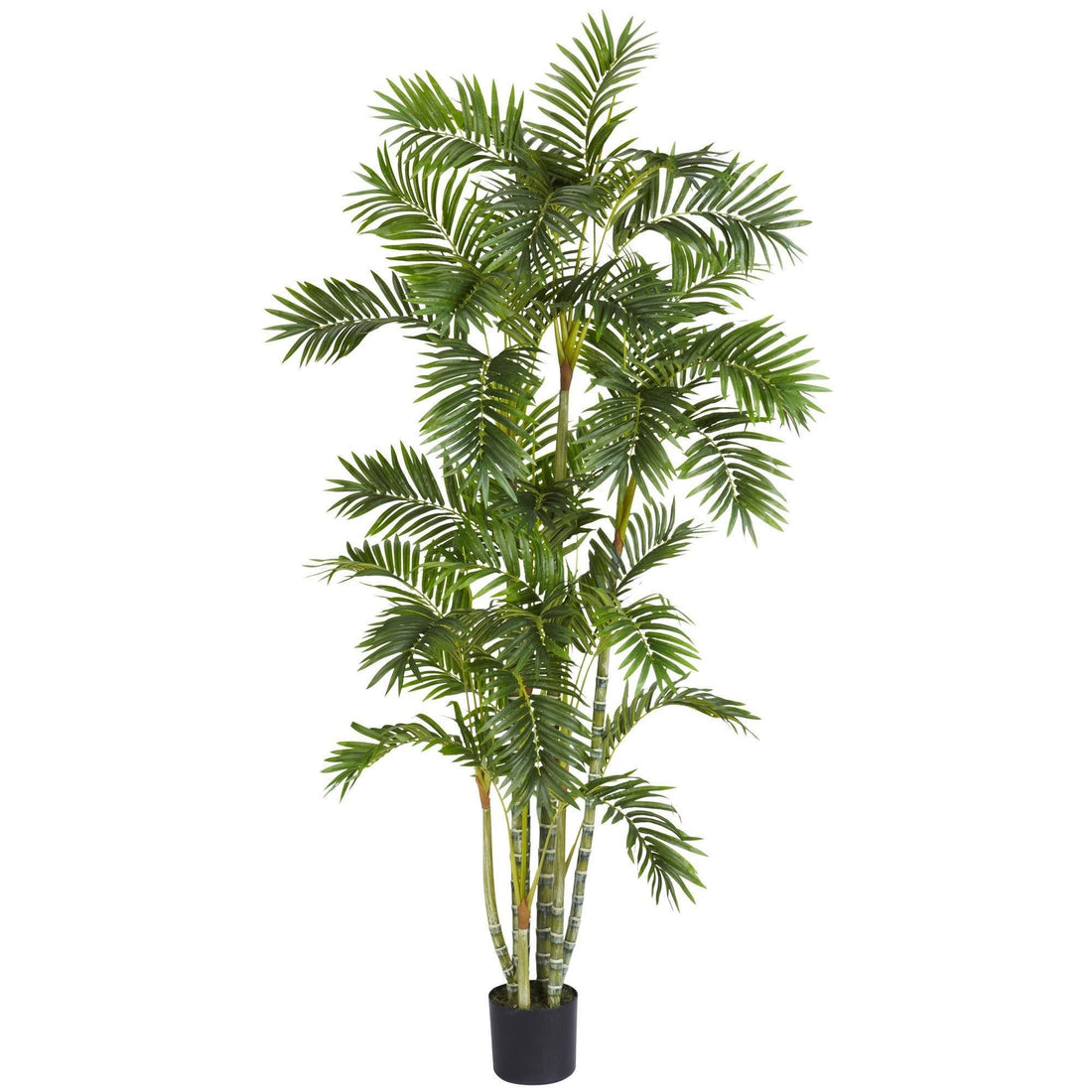 areca palm force taller 6' Areca Palm Silk Artificial Tree