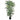 6' Areca Silk Palm Tree
