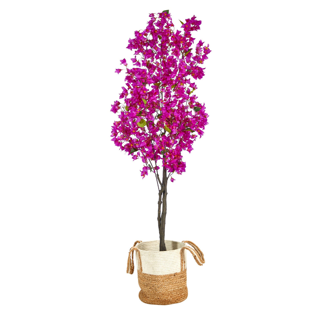 Violets Plant in Jute