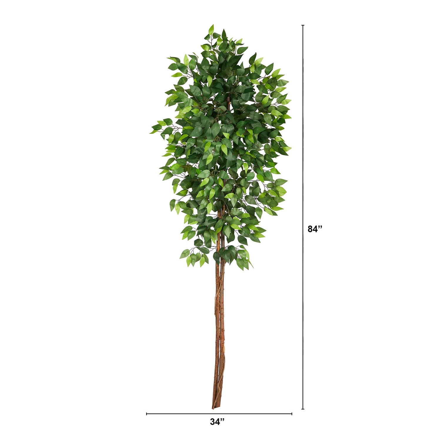 6’ Artificial Double Trunk Ficus Tree (No Pot)