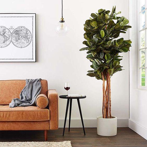 large fiddle leaf fig plant Nearly Natural 6 ft. Fiddle Leaf Fig Tree