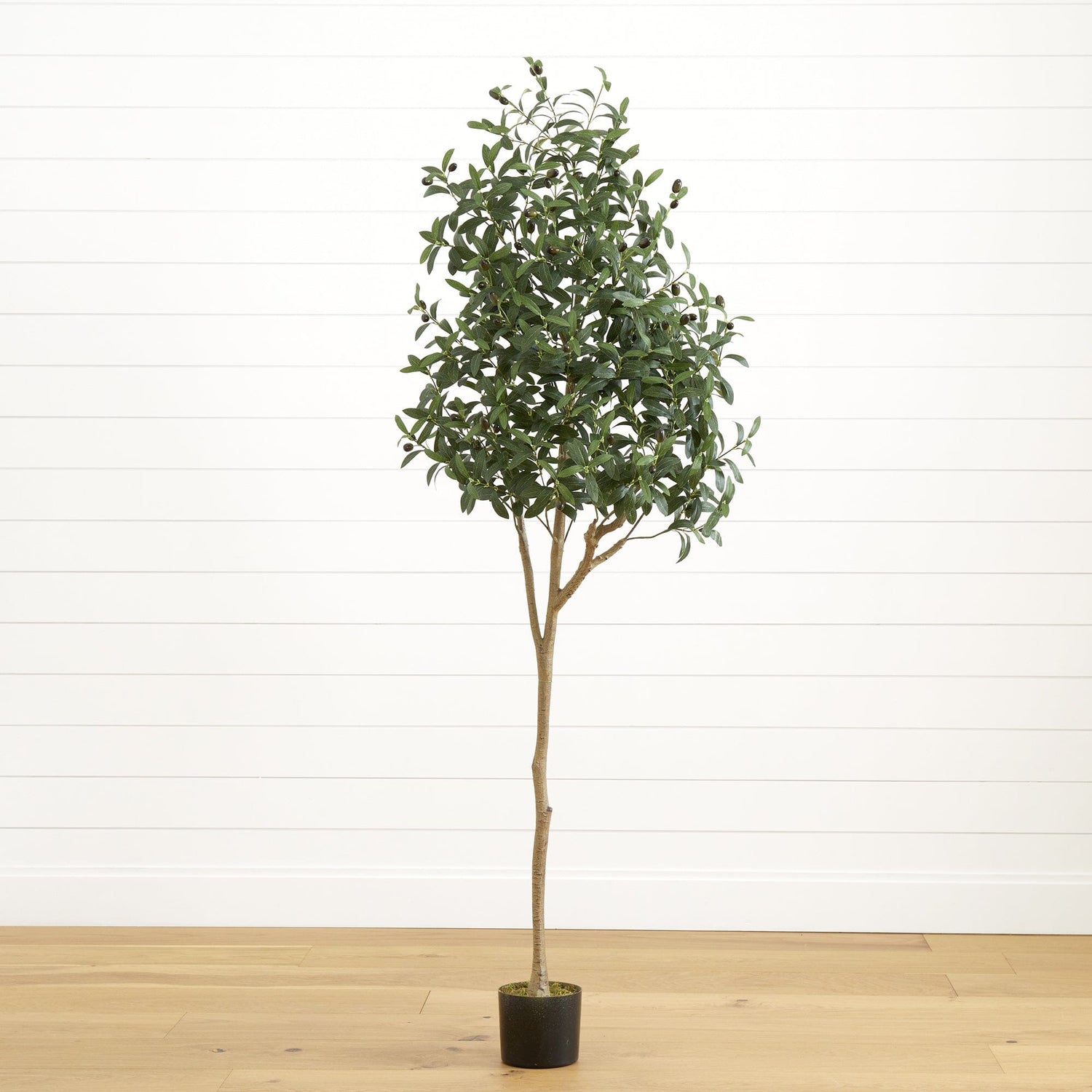 https://www.nearlynatural.com/cdn/shop/products/artificial-6-artificial-olive-tree-tree-nearly-natural-851103.jpg?v=1691188055&width=1500