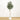 6’ Artificial Olive Tree with White Decorative Planter