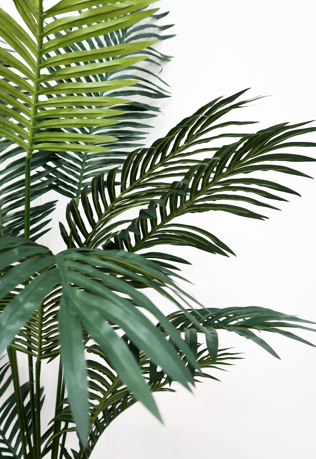 6ft palm plant Nearly Natural 6 ft. Paradise Palm