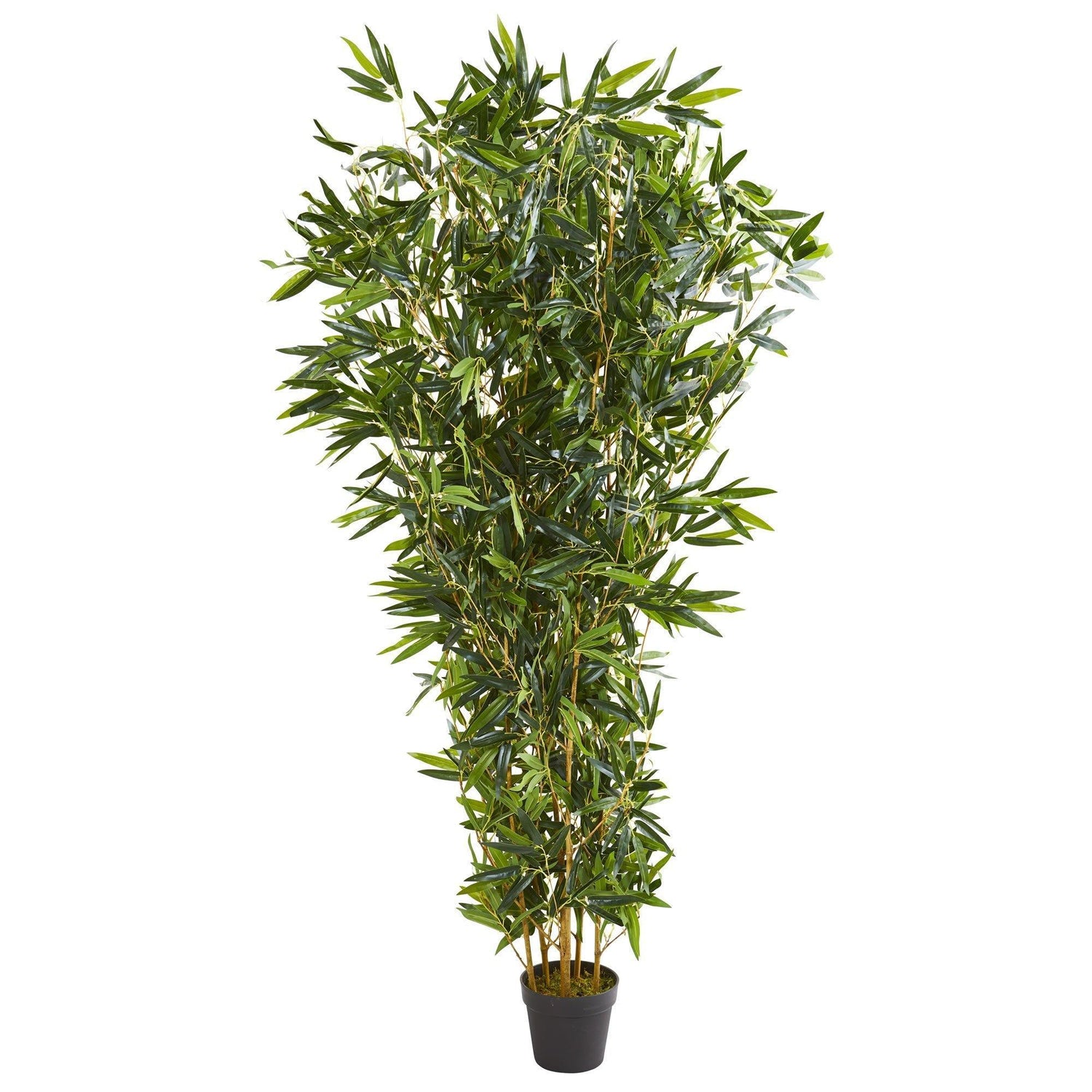 https://www.nearlynatural.com/cdn/shop/products/artificial-6-bamboo-artificial-tree-real-touch-uv-resistant-indooroutdoor-nearly-natural-704419.jpg?v=1584166550&width=1500