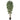 6' Bamboo Japanica Silk Tree