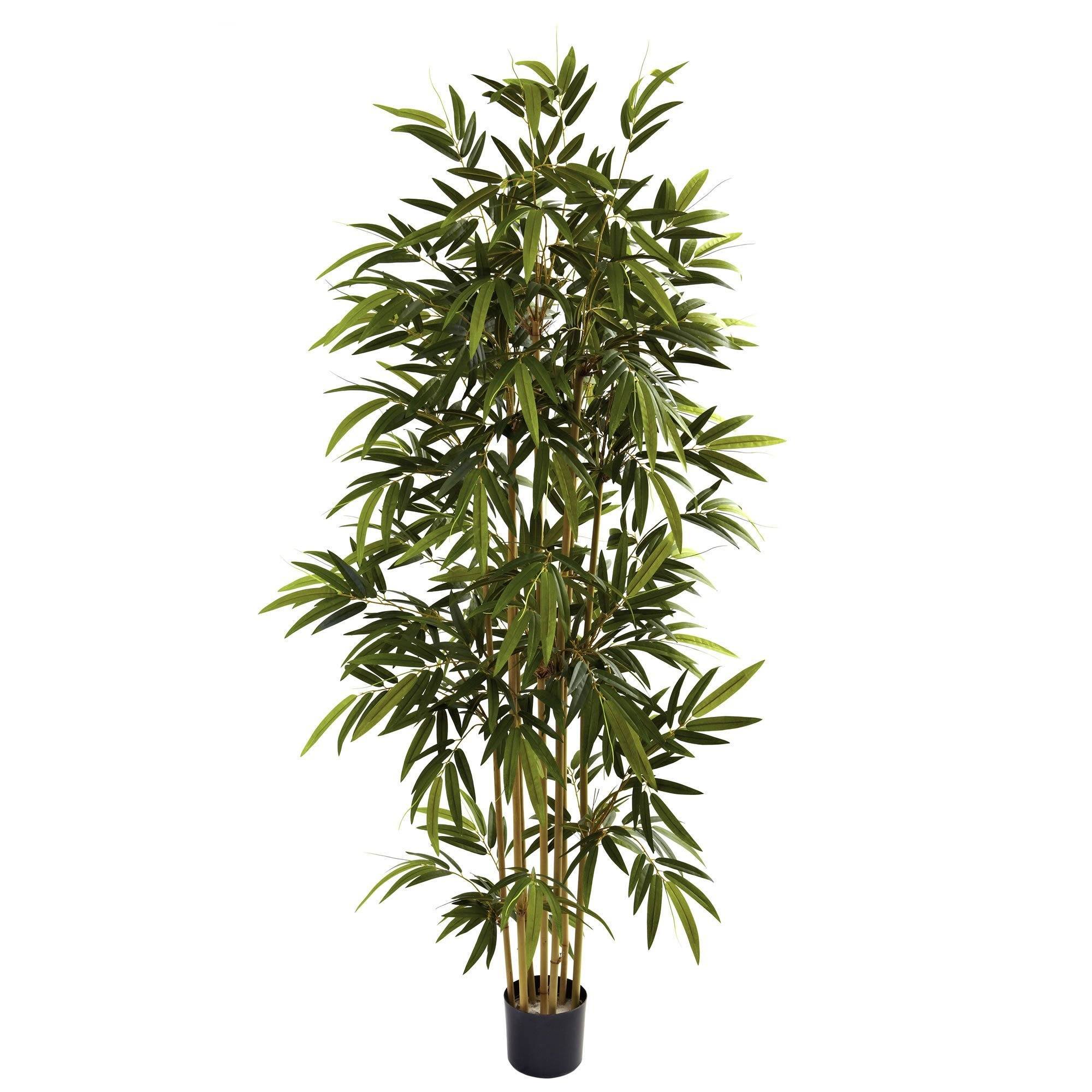 6' Bamboo Tree | Nearly Natural
