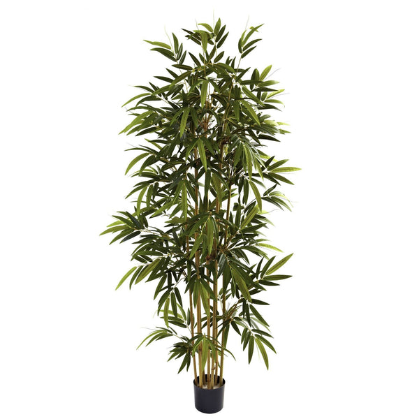 6' Bamboo Tree