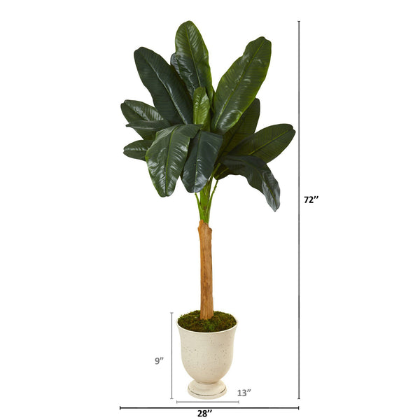 6’ Banana Artificial Tree in Decorative Urn