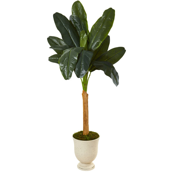 6’ Banana Artificial Tree in Decorative Urn
