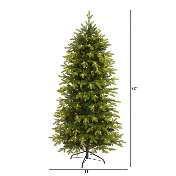 6’ Belgium Fir “Natural Look” Artificial Christmas Tree with 300 Clear LED Lights