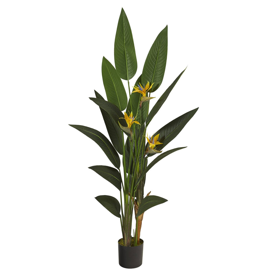 artificial silk bird of paradise palm tree potted plant 6' Bird of Paradise Artificial Plant