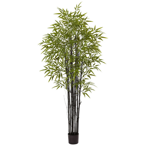 6' Black Bamboo Tree UV Resistant (Indoor/Outdoor)
