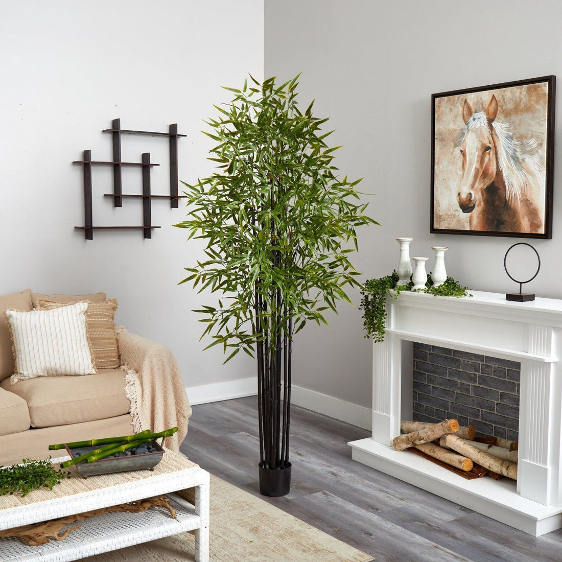 planting black bamboo in pots 6' Black Bamboo Tree UV Resistant (Indoor/Outdoor)