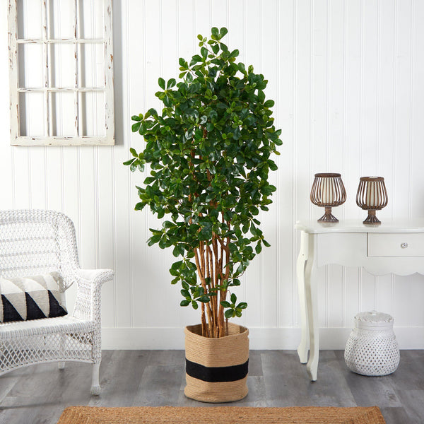 6’ Black Olive Artificial Tree in Handmade Black and White Natural Jute and Cotton Planter