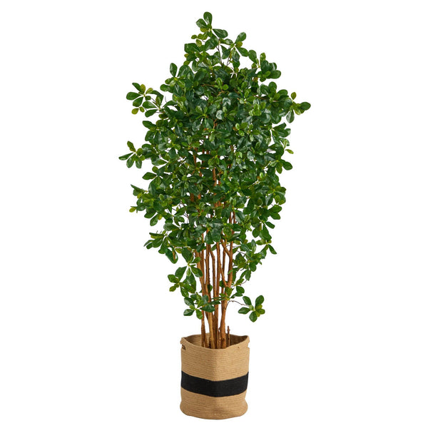 6’ Black Olive Artificial Tree in Handmade Natural Cotton Planter