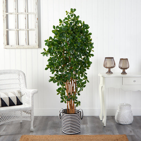 6’ Black Olive Artificial Tree in Handmade Natural Cotton Planter