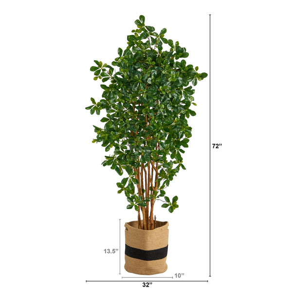 6’ Black Olive Artificial Tree in Handmade Natural Cotton Planter