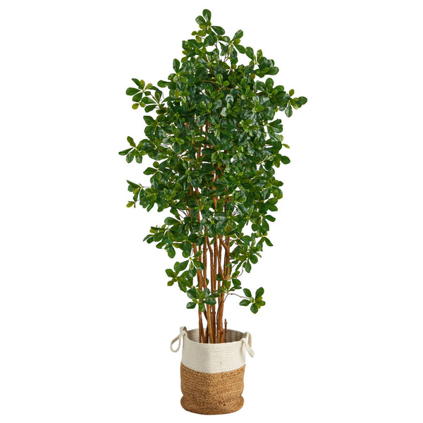 6’ Black Olive Artificial Tree in Handmade Natural Jute and Cotton Planter