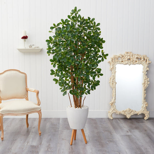 6’ Black Olive Artificial Tree in White Planter with Stand