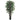 6' Bougainvillea Silk Tree