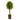 6’ Braided Ficus Artificial Tree in Decorative Planter