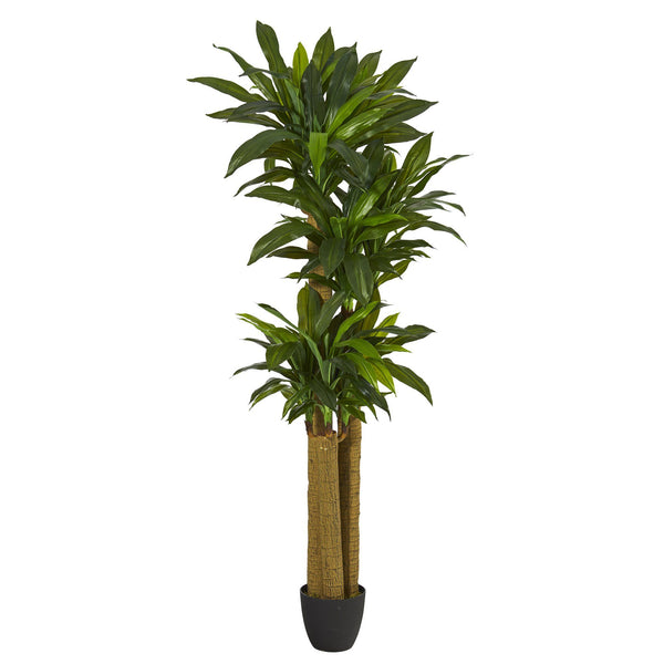 6' Corn Stalk Dracaena Artificial Plant (Real Touch)