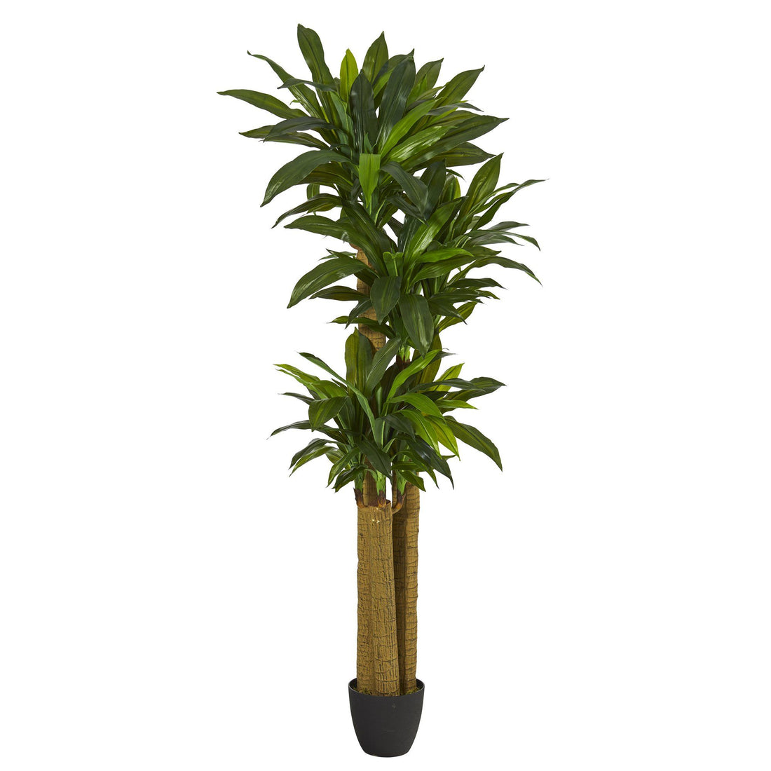 dracaena without trunk 6' Corn Stalk Dracaena Artificial Plant (Real Touch)