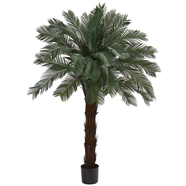 6’ Cycas Artificial Tree UV Resistant (Indoor/Outdoor)