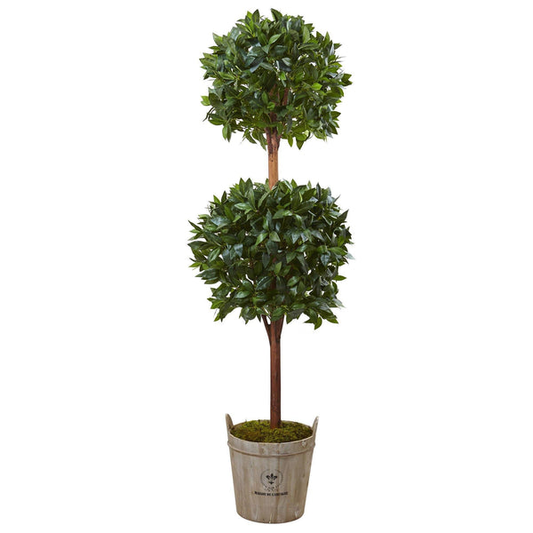 6’ Double Ball Topiary Tree with European Barrel Planter
