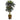 6’ Double Sago Palm Artificial Tree in Designer Planter