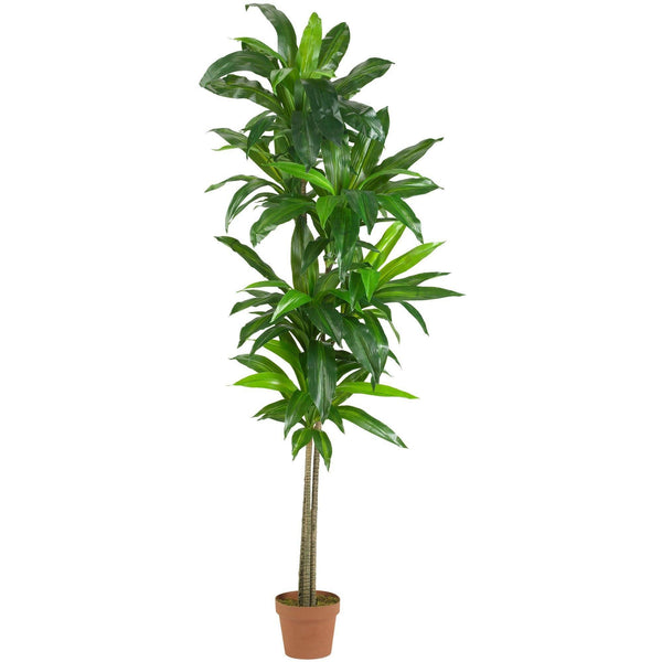 6’ Dracaena Silk Plant (Real Touch)