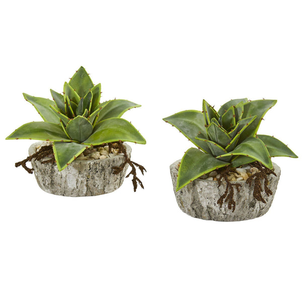 6” Dusty Succulent Artificial Plant in Weathered Vase (Set of 2)
