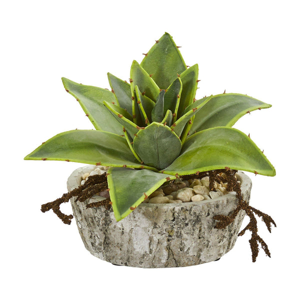 6” Dusty Succulent Artificial Plant in Weathered Vase (Set of 2)