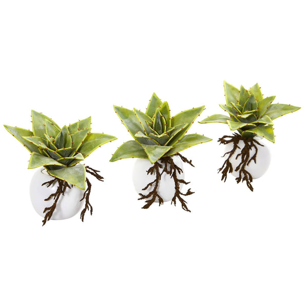 6” Dusty Succulent Artificial Plant in White Vase (Set of 3)