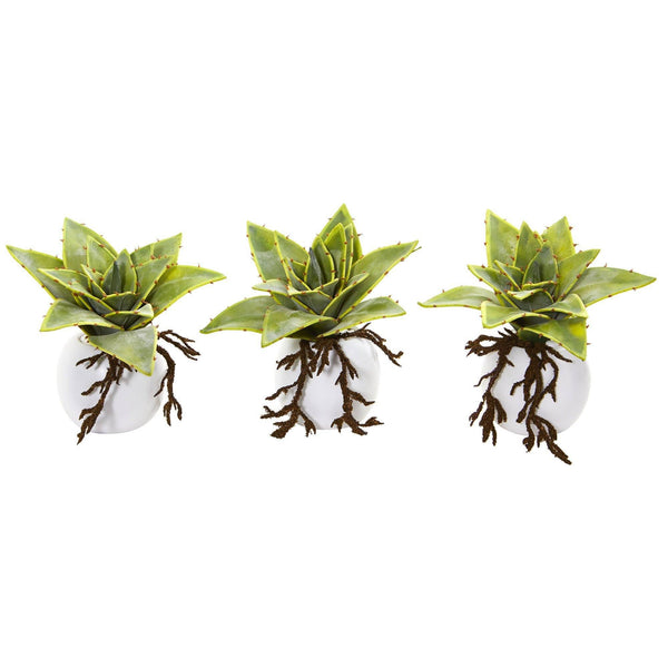 6” Dusty Succulent Artificial Plant in White Vase (Set of 3)