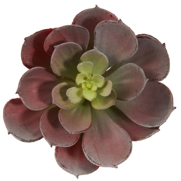 6” Artificial Echeveria Succulent (Set of 12)