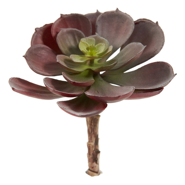 6” Artificial Echeveria Succulent (Set of 12)