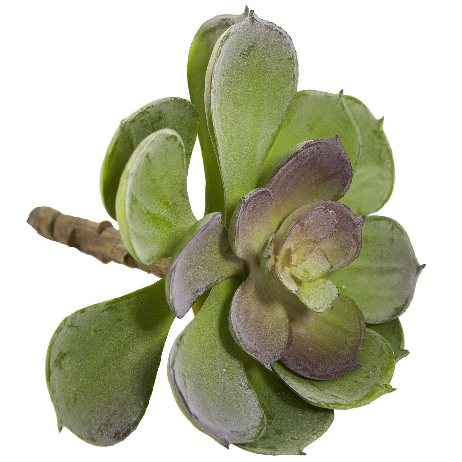 6” Artificial Echeveria Succulent (Set of 12)