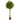 6' Ficus Artificial Topiary Tree UV Resistant (Indoor/Outdoor)