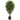 6’ Ficus Artificial Tree in Decorative Planter